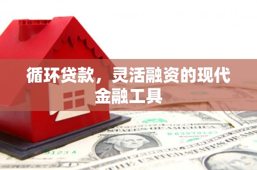 东营循环贷款，灵活融资的现代金融工具
