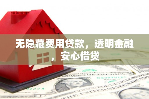 东营无隐藏费用贷款，透明金融，安心借贷