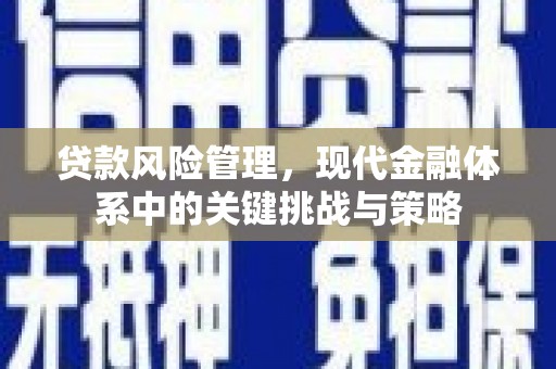 东营贷款风险管理，现代金融体系中的关键挑战与策略