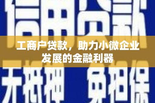 东营工商户贷款，助力小微企业发展的金融利器