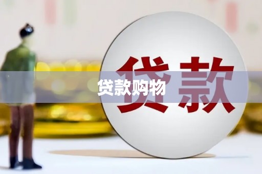 东营贷款购物