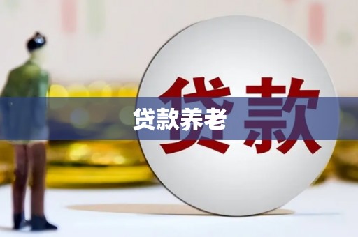 东营贷款养老