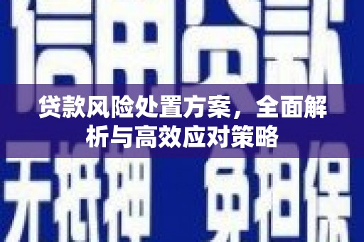 东营贷款风险处置方案，全面解析与高效应对策略