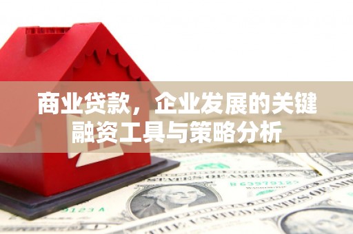 东营商业贷款，企业发展的关键融资工具与策略分析