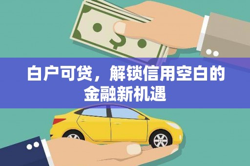 东营白户可贷，解锁信用空白的金融新机遇