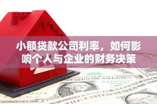 东营小额贷款公司利率，如何影响个人与企业的财务决策