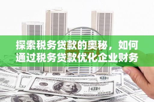 东营探索税务贷款的奥秘，如何通过税务贷款优化企业财务