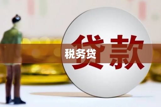 东营税务贷