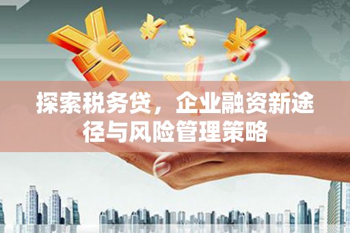 东营探索税务贷，企业融资新途径与风险管理策略