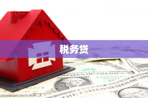 东营税务贷