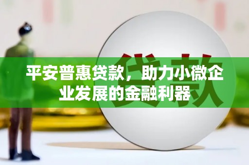 东营平安普惠贷款，助力小微企业发展的金融利器