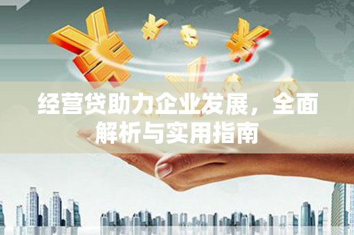 东营经营贷助力企业发展，全面解析与实用指南