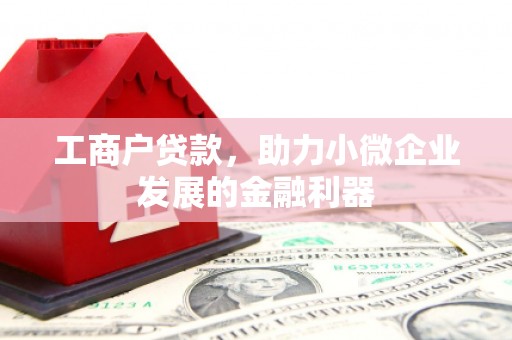 东营工商户贷款，助力小微企业发展的金融利器