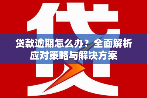 东营贷款逾期怎么办？全面解析应对策略与解决方案