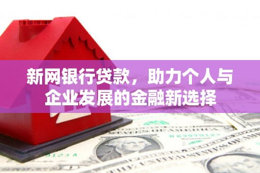 东营新网银行贷款，助力个人与企业发展的金融新选择