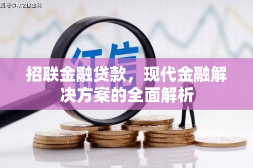 东营招联金融贷款，现代金融解决方案的全面解析