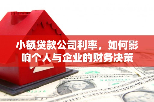 东营小额贷款公司利率，如何影响个人与企业的财务决策