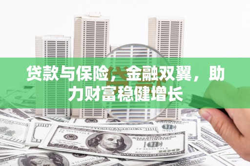 东营贷款与保险，金融双翼，助力财富稳健增长