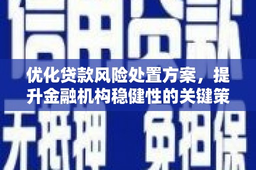 东营优化贷款风险处置方案，提升金融机构稳健性的关键策略