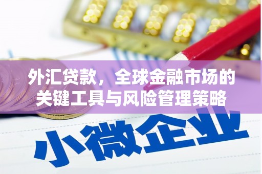 东营外汇贷款，全球金融市场的关键工具与风险管理策略