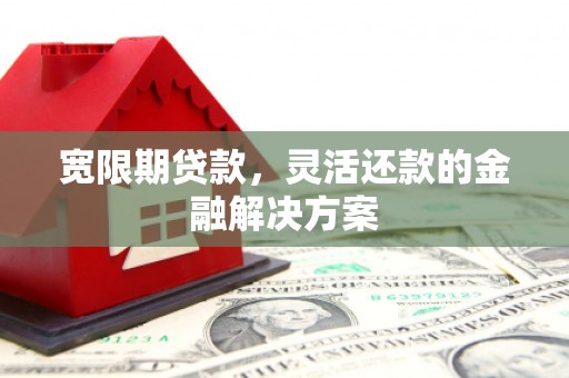东营宽限期贷款，灵活还款的金融解决方案
