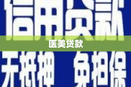 东营医美贷款
