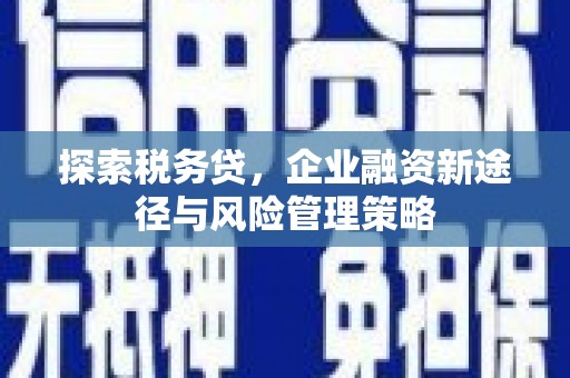 东营探索税务贷，企业融资新途径与风险管理策略