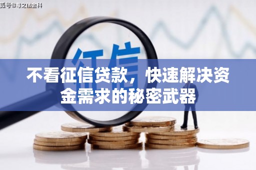 东营不看征信贷款，快速解决资金需求的秘密武器