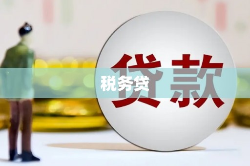 东营税务贷