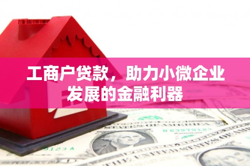 东营工商户贷款，助力小微企业发展的金融利器
