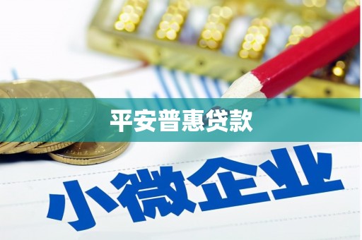 东营平安普惠贷款