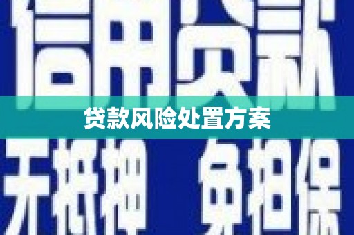 东营贷款风险处置方案