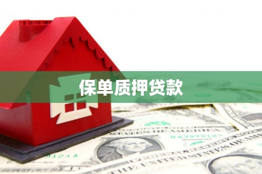 东营保单质押贷款