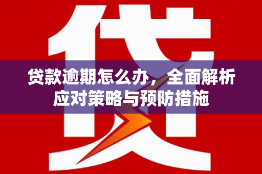 东营贷款逾期怎么办，全面解析应对策略与预防措施