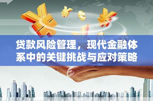 东营贷款风险管理，现代金融体系中的关键挑战与应对策略