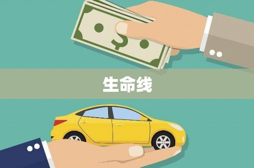 东营生命线