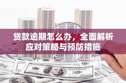 东营贷款逾期怎么办，全面解析应对策略与预防措施