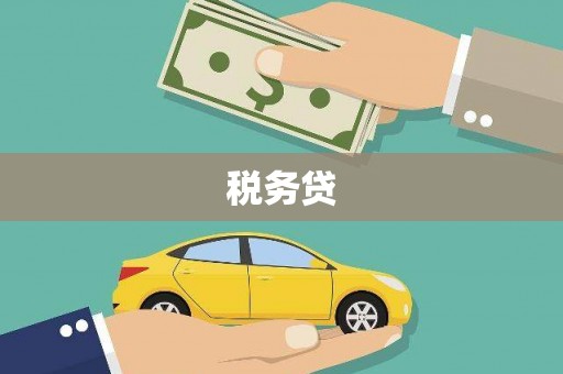 东营税务贷