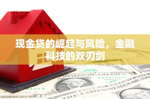 东营现金贷的崛起与风险，金融科技的双刃剑