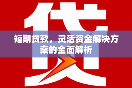 东营短期贷款，灵活资金解决方案的全面解析