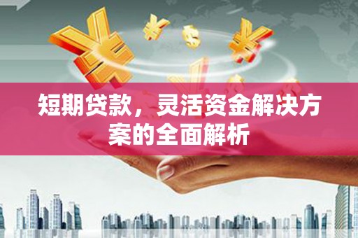 东营短期贷款，灵活资金解决方案的全面解析