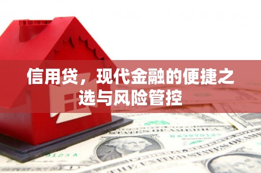东营信用贷，现代金融的便捷之选与风险管控