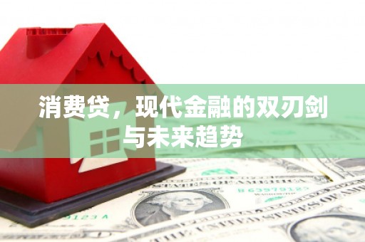东营消费贷，现代金融的双刃剑与未来趋势