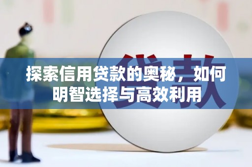 东营探索信用贷款的奥秘，如何明智选择与高效利用