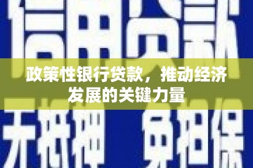东营政策性银行贷款，推动经济发展的关键力量