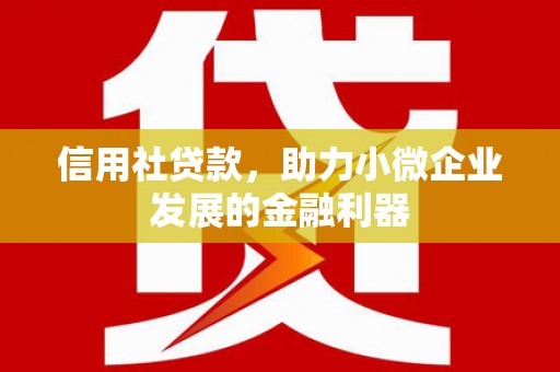 东营信用社贷款，助力小微企业发展的金融利器