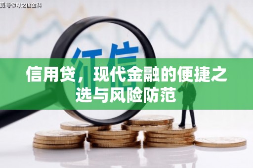 东营信用贷，现代金融的便捷之选与风险防范
