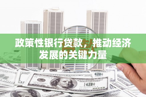 东营政策性银行贷款，推动经济发展的关键力量