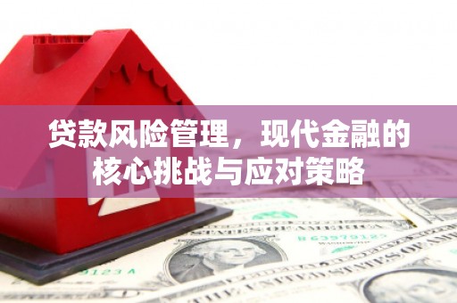 东营贷款风险管理，现代金融的核心挑战与应对策略