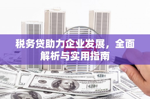 东营税务贷助力企业发展，全面解析与实用指南